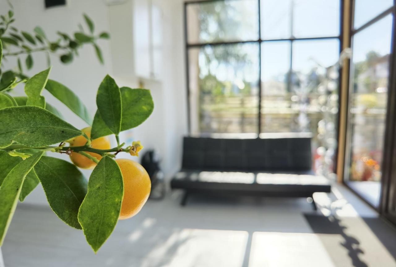 Pensiunea Prestige House Curtea de Argeş Zewnętrze zdjęcie
