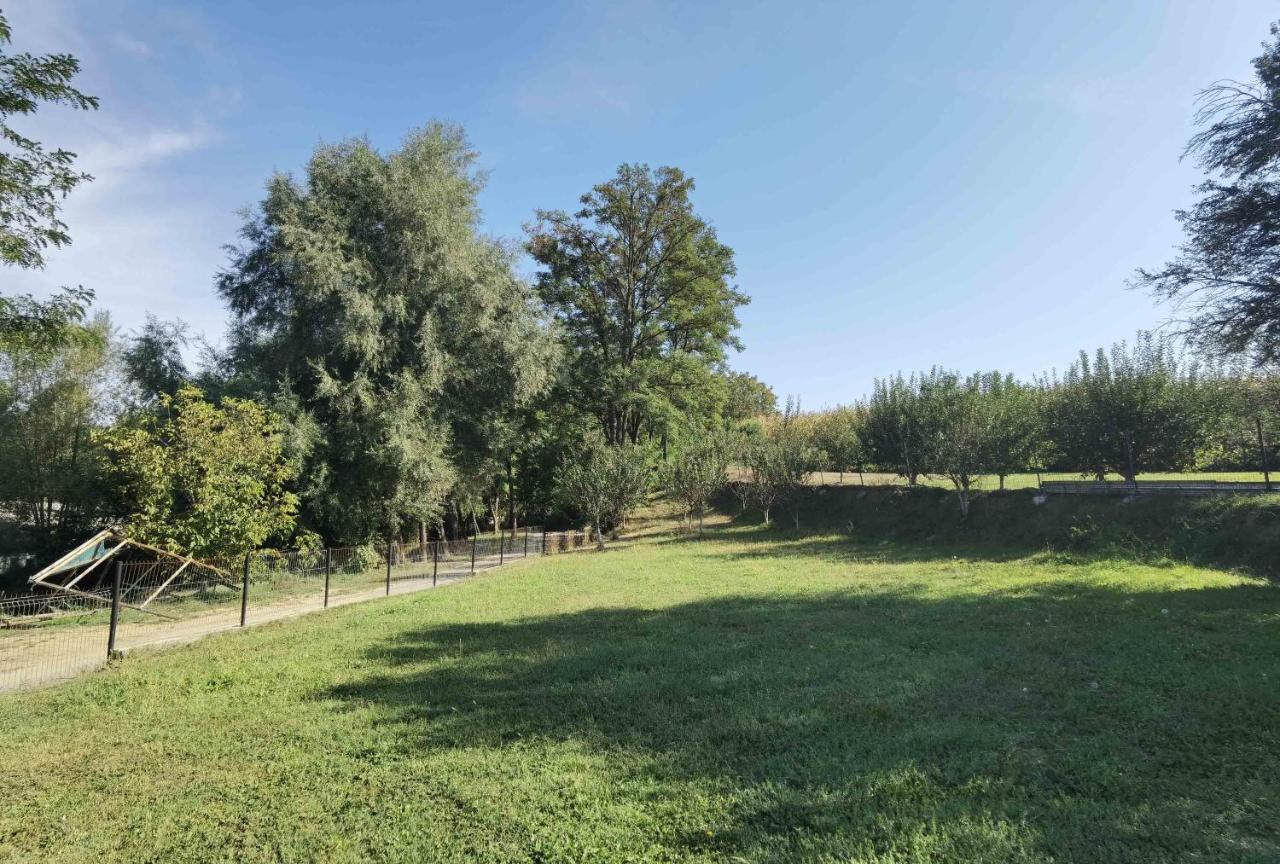 Pensiunea Prestige House Curtea de Argeş Zewnętrze zdjęcie