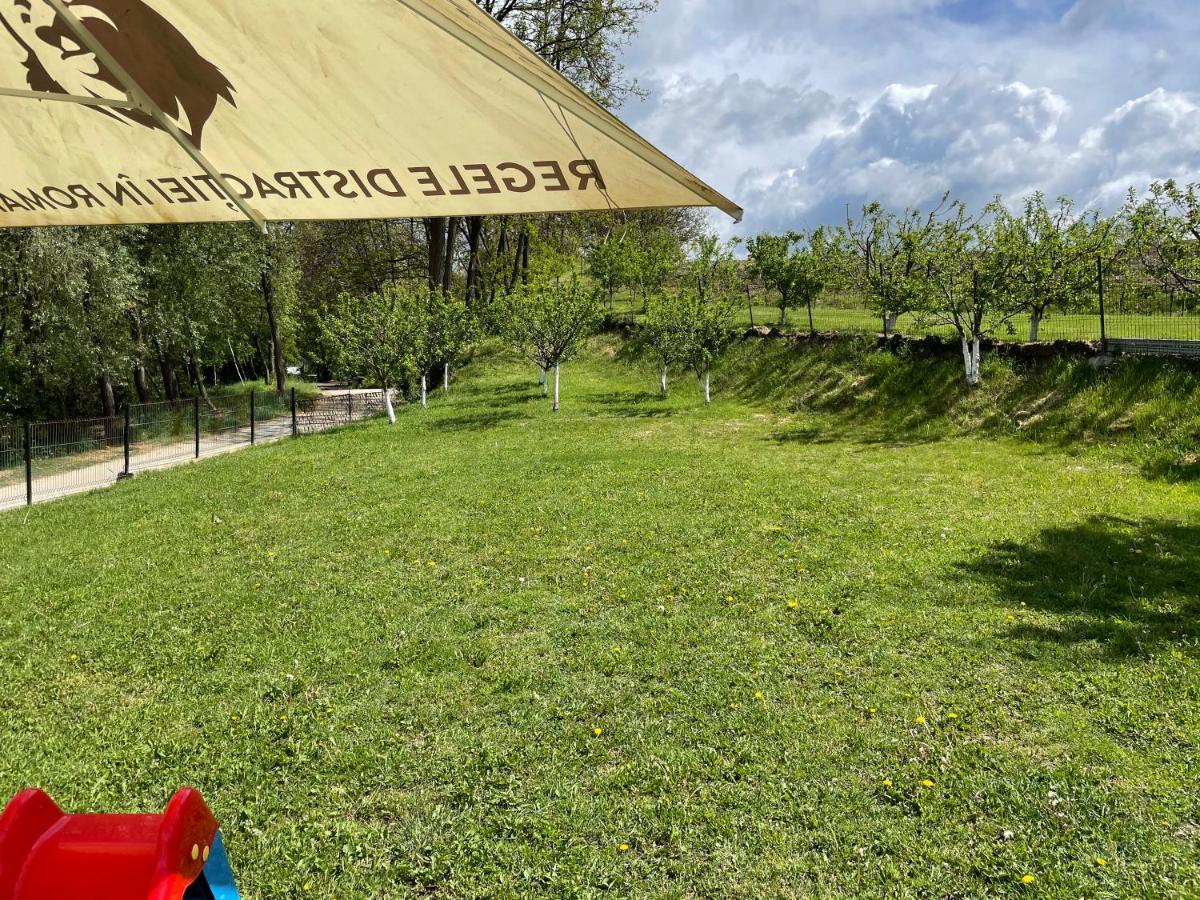 Pensiunea Prestige House Curtea de Argeş Zewnętrze zdjęcie